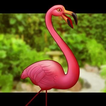 kak risovat flamingo0312